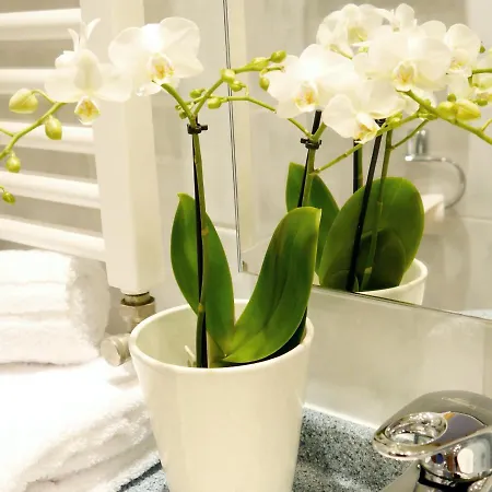 Hotel Zollersteighof Albstadt